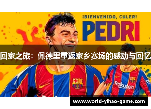 回家之旅：佩德里重返家乡赛场的感动与回忆