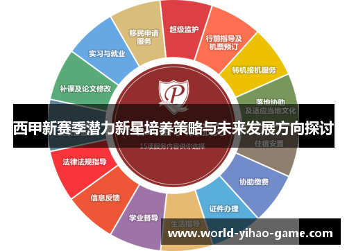 西甲新赛季潜力新星培养策略与未来发展方向探讨