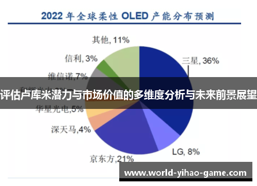 评估卢库米潜力与市场价值的多维度分析与未来前景展望