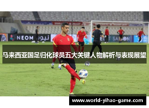 马来西亚国足归化球员五大关键人物解析与表现展望